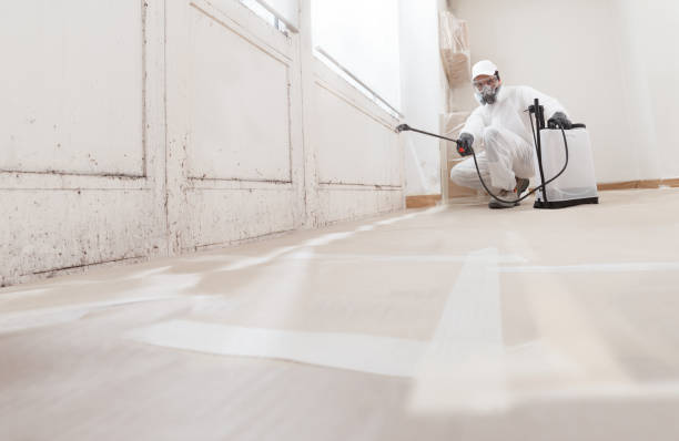 24/7 Emergency Mold Remediation experts in Flintstone, MD